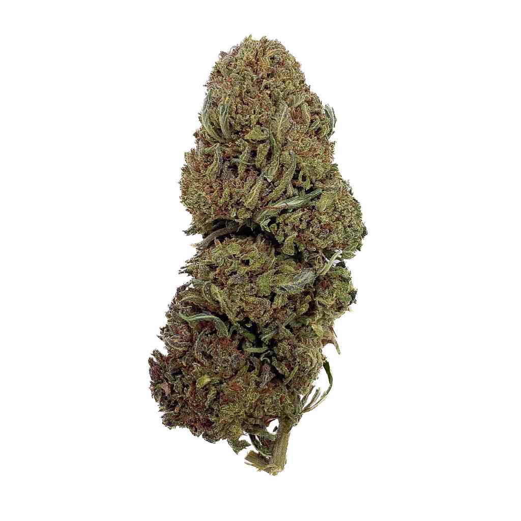 Jack Herer | 20% THCX 2.0