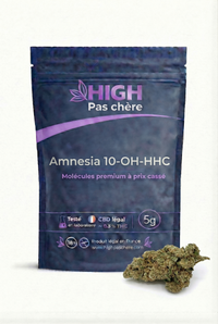 Amnesia 10-OH-HHC