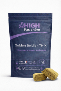 Golden Beldia  - TH-X