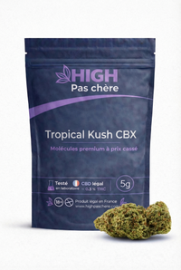 Tropical Kush CBX
