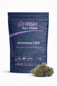 Amnesia CBX